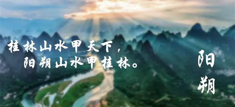 萌犬记忆卡