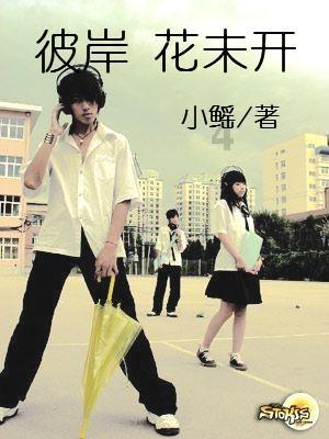 全民剧本大师内置菜单